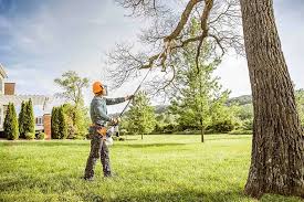 Netcong, NJ Tree Care Company